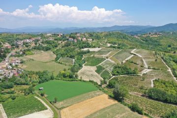 Foto di Alex Collovati